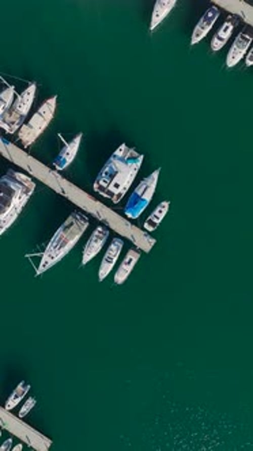 Vertical Video of a Marina Surrounded By Yachts Sparkling Waters and a Vibrant Blue Sky Captured