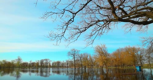 Timelapse Bold Bright Blue Sky Above Nature Landscape During Spring Flood Trees That Standing In