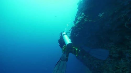 Diver Gracefully Swims Underwater Navigating Past Reef