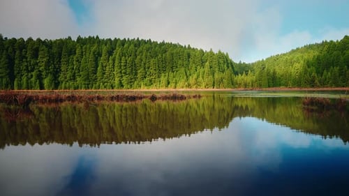 Mountain lake surrounded by green high pines. Camera close to the ground reflecting the sky and tree
