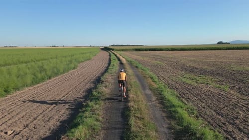 Cyclist riding on rural road near agricultural fields