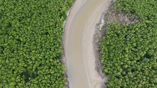 Aerial mangrove view of winding river channel