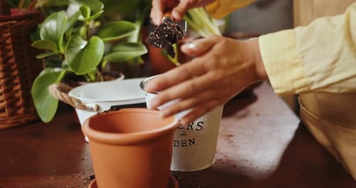 Hands Filling a Pot with a Soil Preparation for Transplanting or Repotting Plant
