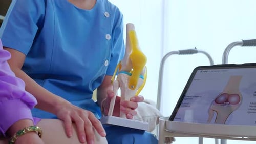 Healthcare Worker Explains Knee Anatomy with Model