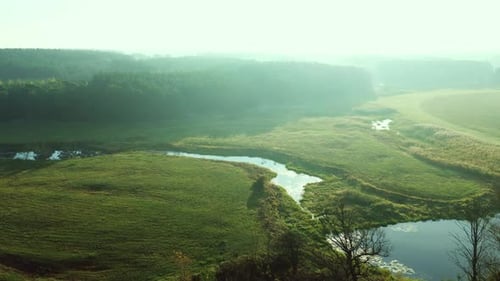 Summer Green Fields And River Nature Park