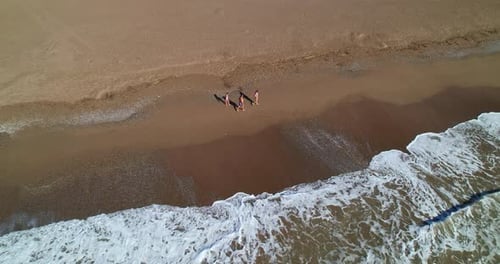 Family Strolls Along a Sandy Beach on the Seashore Aerial View