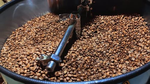 Coffee Beans Turning in Roasting Machine