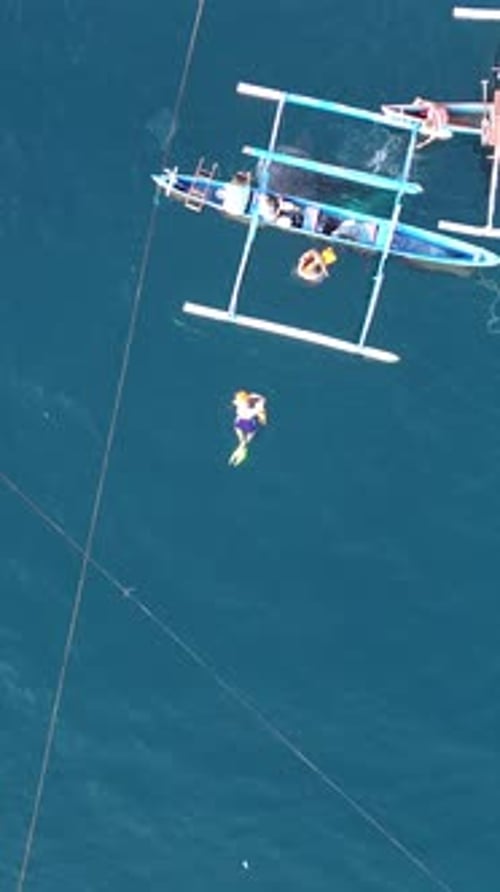 Vertical Footage of Whale Sharks Interacting with Tourists on a Boat