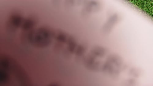 Tulips and Mother's Day Cards on Green Lawn