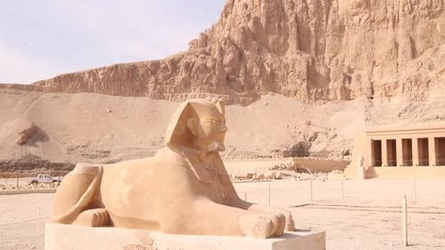 ancient sphinx guards the funerary temple of hatshepsut in Luxor Egypt