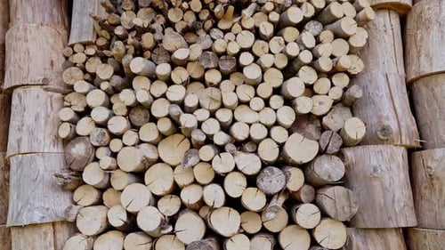 Troncos de pilas de leña picadas y apiladas