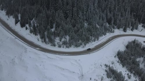 Sloping Forest Bend