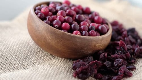 Bowl with Fresh Organic Cranberries and Dried Cranberries Close Up Selective Focus Autumn Concept