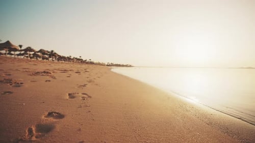 Camera Moving Over Sandy Ocean Beach at Sunset on Luxury Resort with Palm Trees Umbrellas Sunbeds on