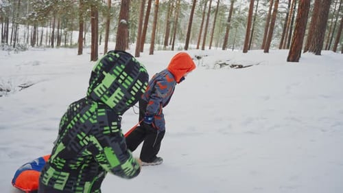 Kids Having Fun in the Snow While Pulling a Sled Through the Forest