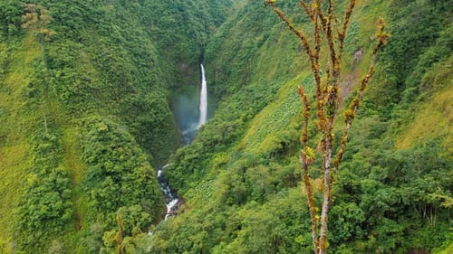 View of rainforest waterfall cascading down into a lush valley in Costa Rica
