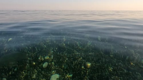 Une caméra de surface survole la mer d'un bleu azur calme avec des rivages rocheux volcaniques en arrière-plan