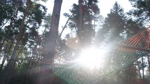 A Beautiful Hammock Swings Against the Background of the Sun's Rays The Concept of Recreation