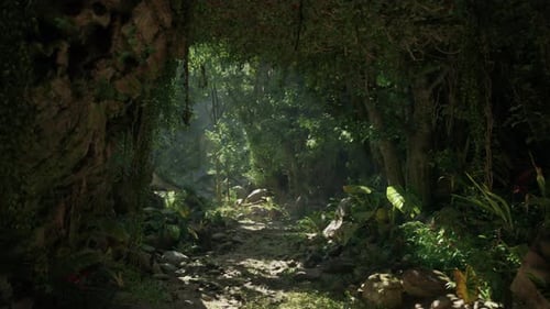 A Serene Forest Path in New Zealand