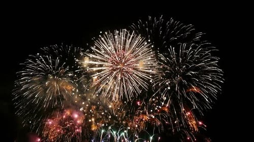 Colorful Fireworks Display in the Dark Night Sky