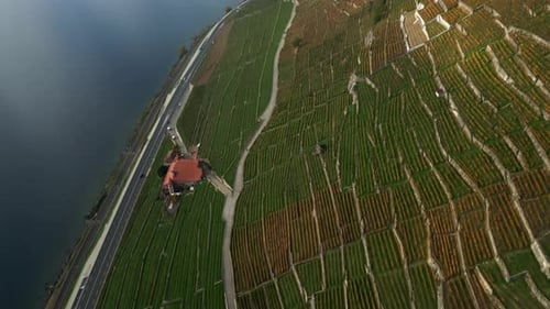 Reveal drone shot of vineyards in Lavaux with Lake Geneva