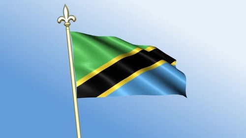 Tanzania Flag