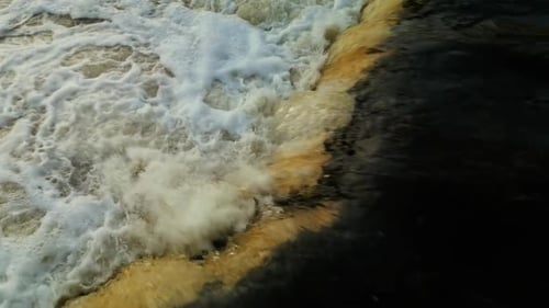 Spectacle naturel : le saut à saumon de Kuldiga