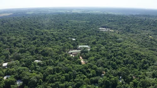Vue aérienne de la jungle dans le parc national d'Iguazú, à Misiones, en Argentine, vue panoramique
