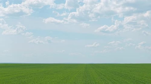 Drone Flying Over Vast Green Wheat Field in the Bulgarian Countryside on a Cloudy Spring Day Aerial