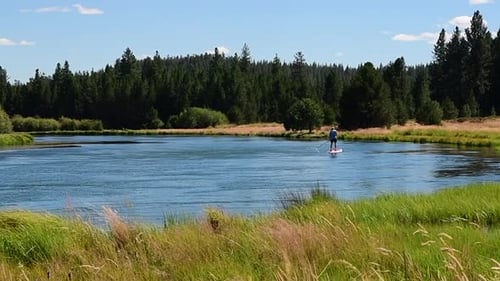 Stand Up Paddleboarder on a River