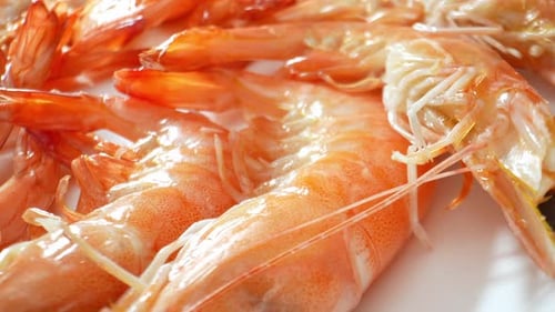 Frozen Shrimp with shell in stunning footage. 4K.