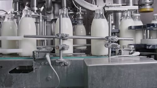 Planta embotelladora de leche, maquinaria industrial que llena botellas de vidrio con leche fresca