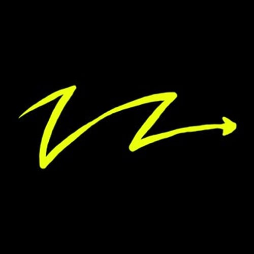 Dynamic Arrow Flow
