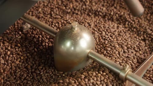 Roasted Coffee Beans Mixing in Industrial Mixer Machine Roaster Blend at Factory Fabric Aromatic