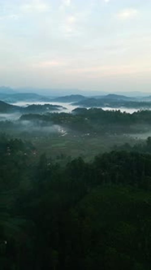 Une vue aérienne de l'aube brumeuse se lève sur les montagnes de Haputale avec de riches hautes terres sous un brouillard éthéré