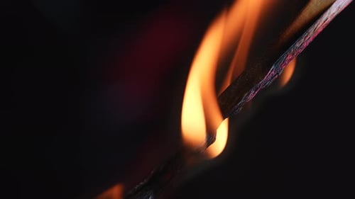 Burning Match on Black Background of Studio Flame Sizzles the Wooden Match and It Gradually Fades