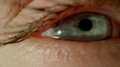 Makroaufnahme eines Frauenauges beim Öffnen und Schließen der Iris des Auges Das Konzept von