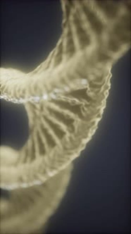 A Close Up View of a DNA Double Helix Structure Displayed in Soft Light