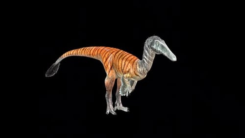 Austroraptor Drink 2