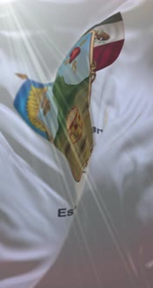 Dynamic Waving Flags Reveal State of Hidalgo Text