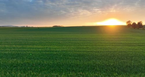 Sunset Over Agricultural Field at Dusk Aerial View