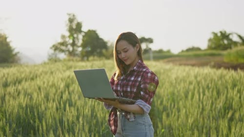 Farmer or researcher check and gather information barley rice farm field for Agricultural research