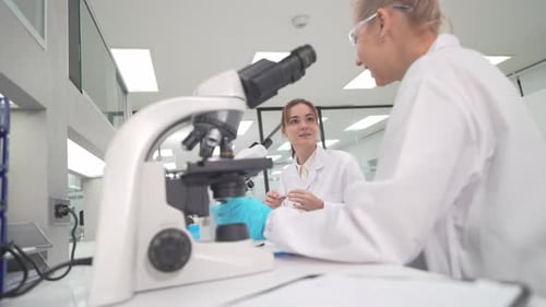Female Scientists Working and Talking in the Lab