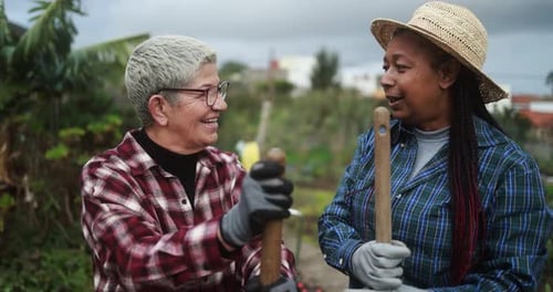 Multiracial senior women joyfully gardening together at a local vegetables garden