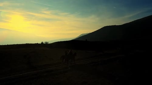 Aerial View Horses on the Mountain at Sunset