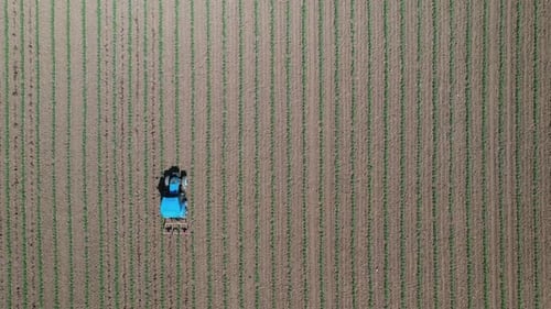 Agriculture field with tractor.