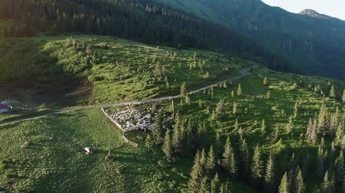 Aerial view. Majestic Carpathian Mountains. Beautiful landscape of untouched nature