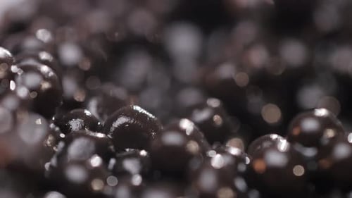 Shiny Brown Spheres in a Macro Close-up Shot