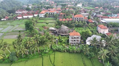 Aerial view of hotels, jungle and rice paddies in Bali, Indonesia