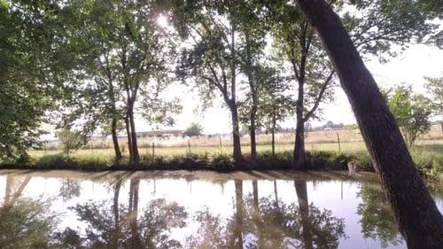 Kleiner Stillwasser-Seeteich mit wunderschöner Natur, die sich an einem sonnigen Tag darin widerspiegelt. Hochplanen und bezahlen